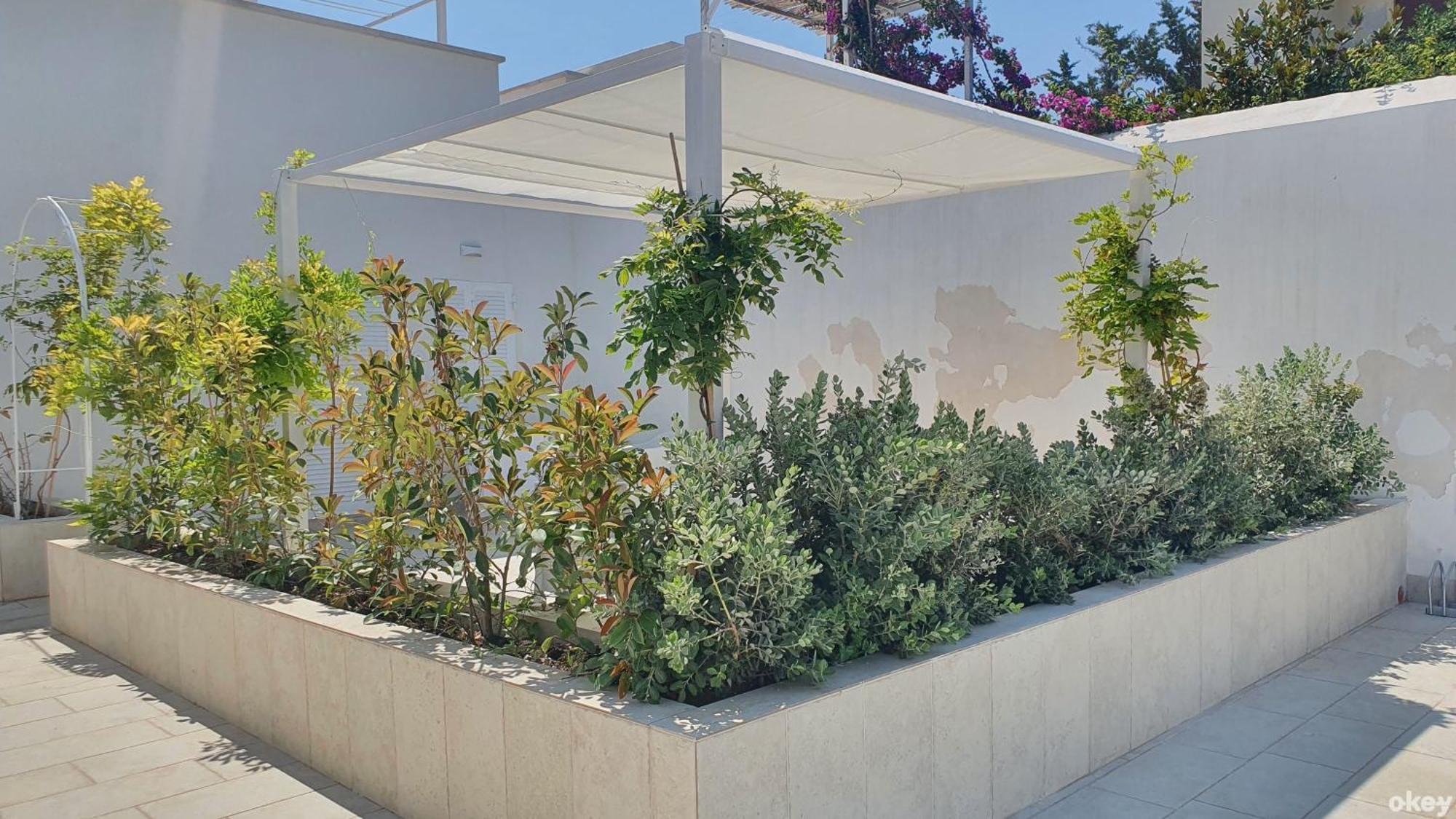 Villa Mediterranea Apartments - Seaview, Pool & Garden Бари Екстериор снимка